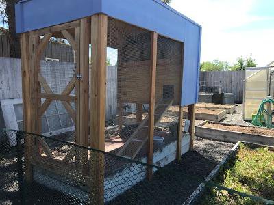 Completed Rabbit Hutch